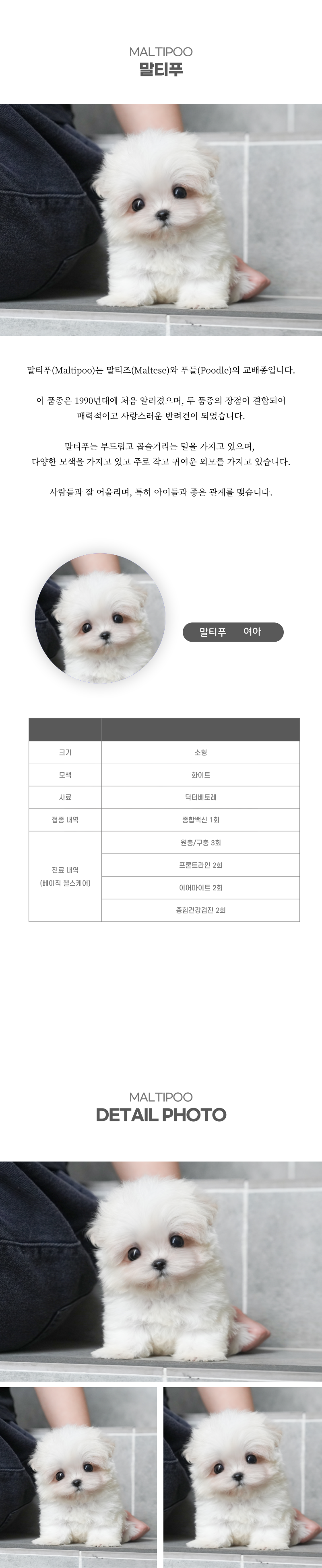 말티푸_상세이미지_2